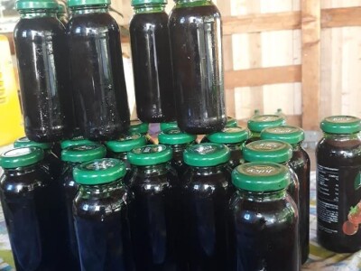 Zbog kćerke Marise smo se okrenuli poljoprivredi i nismo se pokajali