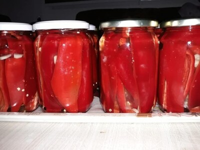 Zbog kćerke Marise smo se okrenuli poljoprivredi i nismo se pokajali