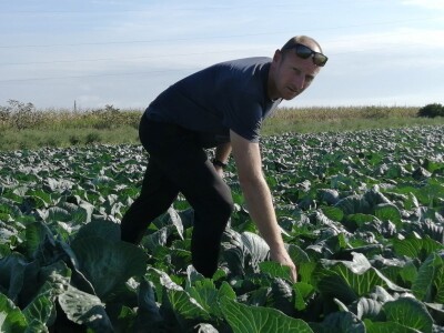 Zbog suše će prinos zelja ove godine biti 40 posto manji od prosjeka