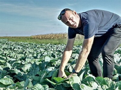 Zbog suše će prinos zelja ove godine biti 40 posto manji od prosjeka