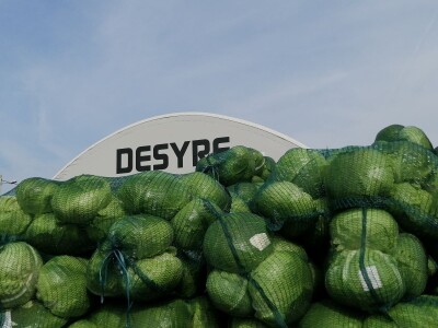 Zbog suše će prinos zelja ove godine biti 40 posto manji od prosjeka