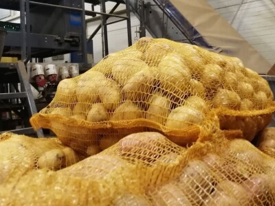 Zbog suše će prinos zelja ove godine biti 40 posto manji od prosjeka