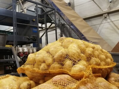 Zbog suše će prinos zelja ove godine biti 40 posto manji od prosjeka