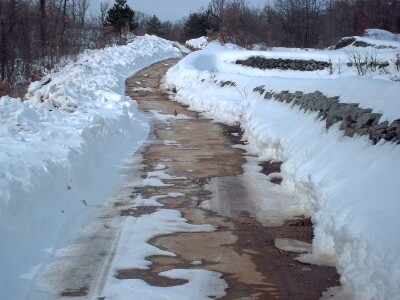 Zbog visokog snijega, divljač u opasnosti