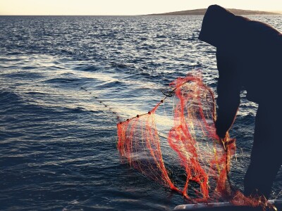 Zbog zagrijavanja Jadrana naša je srdela puno manja - kaže Neven Iveša, poznavatelj i istraživač mora Zbog zagrijavanja Jadrana naša je srdela puno manja - kaže Neven Iveša, poznavatelj i istraživač mora