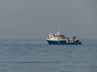 Zbog zagrijavanja Jadrana naša je srdela puno manja - kaže Neven Iveša, poznavatelj i istraživač mora Zbog zagrijavanja Jadrana naša je srdela puno manja - kaže Neven Iveša, poznavatelj i istraživač mora