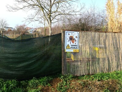 Zbog zaštite oprašivača, travnjaci u Puli, kasnije će se kositi