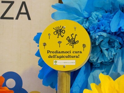 Zbog zaštite oprašivača, travnjaci u Puli, kasnije će se kositi