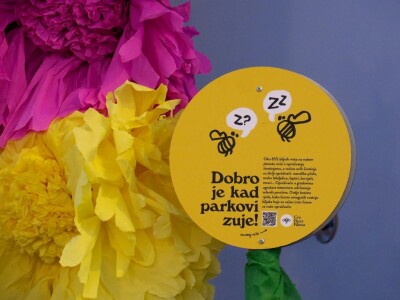 Zbog zaštite oprašivača, travnjaci u Puli, kasnije će se kositi