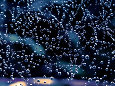 Zbog zaštite oprašivača, travnjaci u Puli, kasnije će se kositi