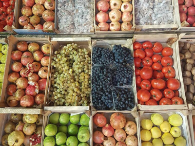 Intervju: Maja Miljević, Zdrava logika, Banja Luka