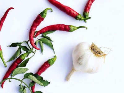 Intervju: Maja Miljević, Zdrava logika, Banja Luka