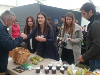 Intervju: Maja Miljević, Zdrava logika, Banja Luka