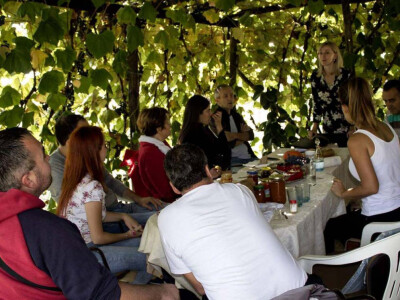 Intervju: Maja Miljević, Zdrava logika, Banja Luka