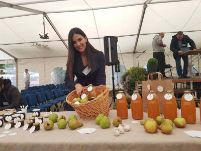 Intervju: Maja Miljević, Zdrava logika, Banja Luka