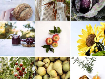 Intervju: Maja Miljević, Zdrava logika, Banja Luka