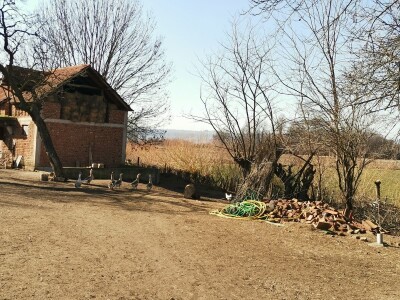 Zdravo povrće iz bašte bez motike