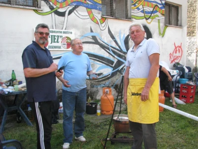 Zdravofest