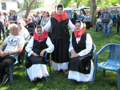 Zdravofest