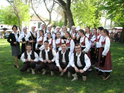 Zdravofest