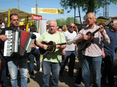 Zdravofest