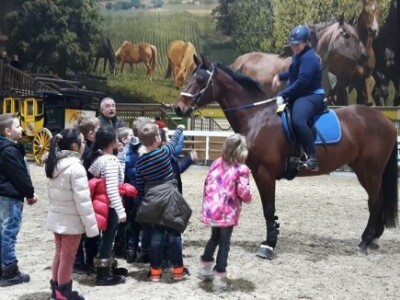 Djeca se ne miču od konja