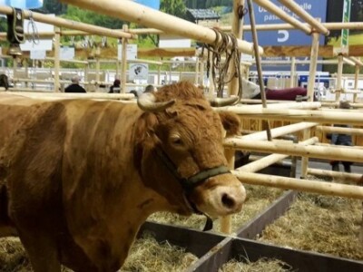 I on čeka svoj trenutak