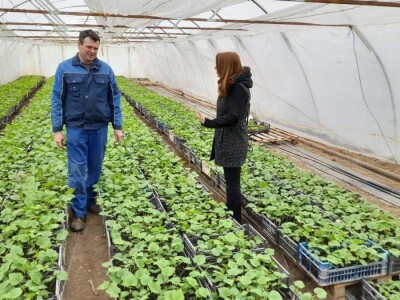 Zelena panorama, Snop i Selo - popularne TV emisije