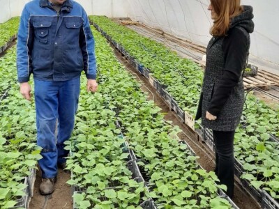 Zelena panorama, Snop i Selo - popularne TV emisije