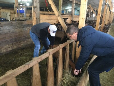 Zelena panorama, Snop i Selo - popularne TV emisije