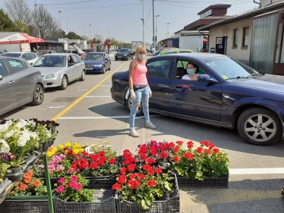 Zelena tržnica