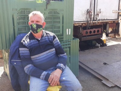 Zelena tržnica u Zagrebu Zelena tržnica u Zagrebu