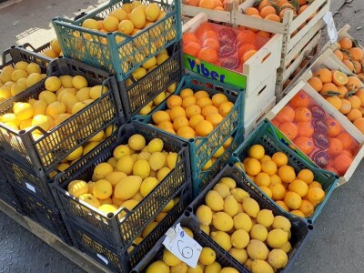 Zelena tržnica u Zagrebu Zelena tržnica u Zagrebu