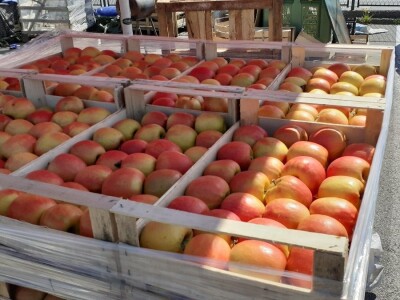 Zelena tržnica u Zagrebu Zelena tržnica u Zagrebu