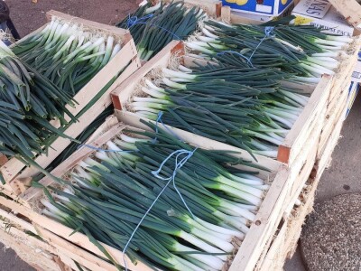 Zelena tržnica u Zagrebu Zelena tržnica u Zagrebu