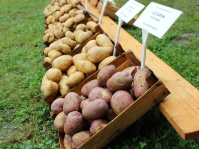 Zeleni dragulji prirode na Agri