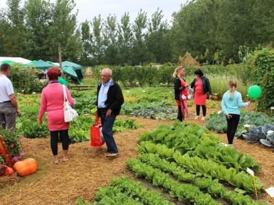 Zeleni dragulji prirode na Agri