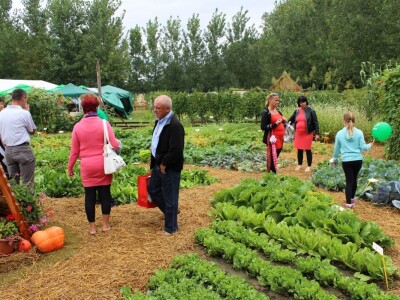 Zeleni dragulji prirode na Agri