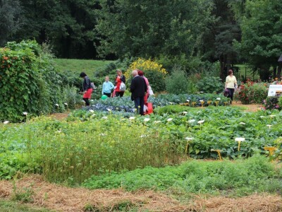 Zeleni dragulji prirode na Agri