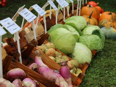 Zeleni dragulji prirode na Agri