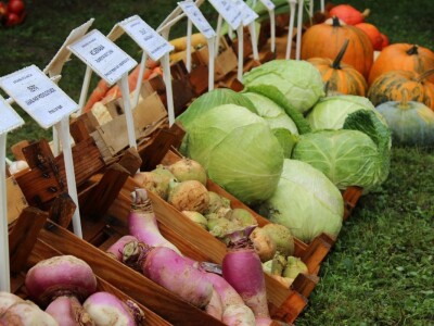 Zeleni dragulji prirode na Agri