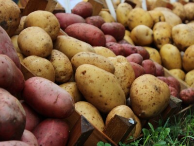 Zeleni dragulji prirode na Agri