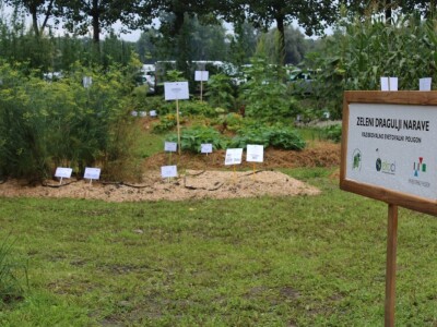 Zeleni dragulji prirode na Agri