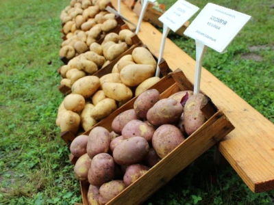 Zeleni dragulji prirode na Agri