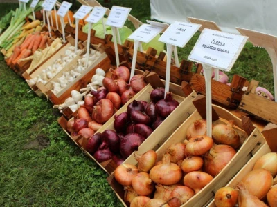 Zeleni dragulji prirode na Agri