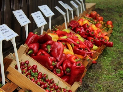 Zeleni dragulji prirode na Agri
