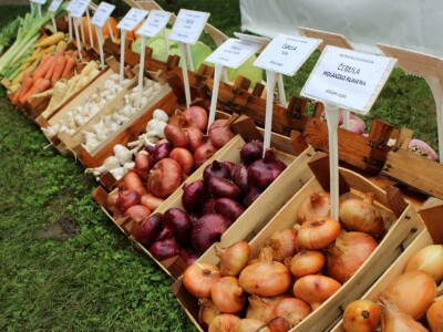 Zeleni dragulji prirode na Agri