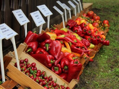 Zeleni dragulji prirode na Agri