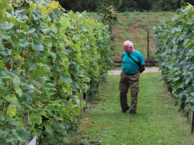 Zeleni dragulji prirode na Agri