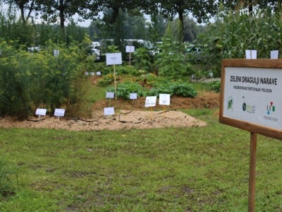 Zeleni dragulji prirode na Agri